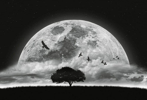 Wizard+Genius Moon and Birds Vlies Fotobehang 384x260cm 8 banen | Yourdecoration.nl