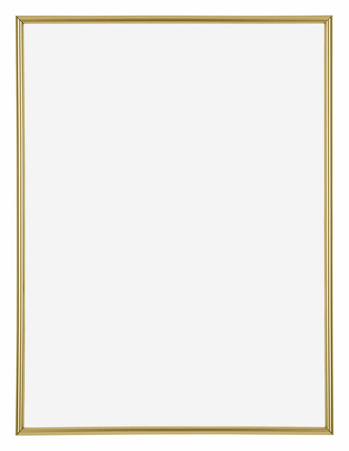 Annecy Kunststof Fotolijst 60x80cm Goud Voorzijde | Yourdecoration.nl