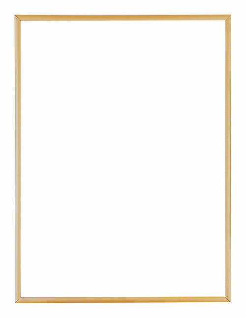 Austin Aluminium Fotolijst 18x24cm Goud Vintage Voorzijde | Yourdecoration.nl