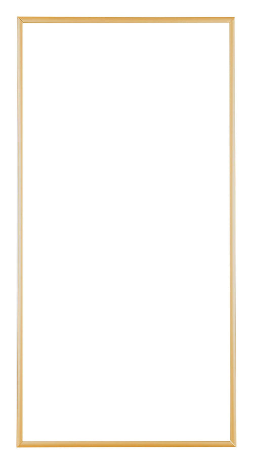 Austin Aluminium Fotolijst 20x40cm Goud Vintage Voorzijde | Yourdecoration.nl