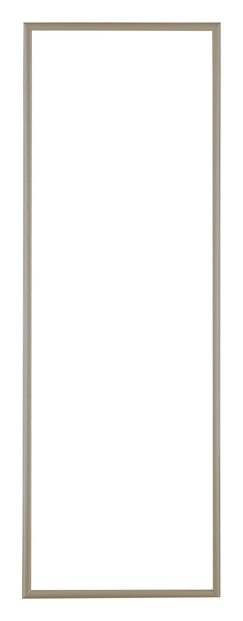 Austin Aluminium Fotolijst 20x60cm Champagne Voorzijde | Yourdecoration.nl
