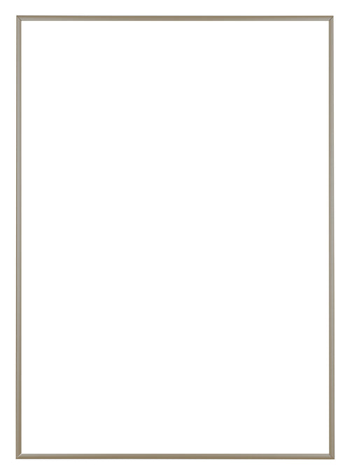 Austin Aluminium Fotolijst 29 7x42cm A3 Champagne Voorzijde | Yourdecoration.nl