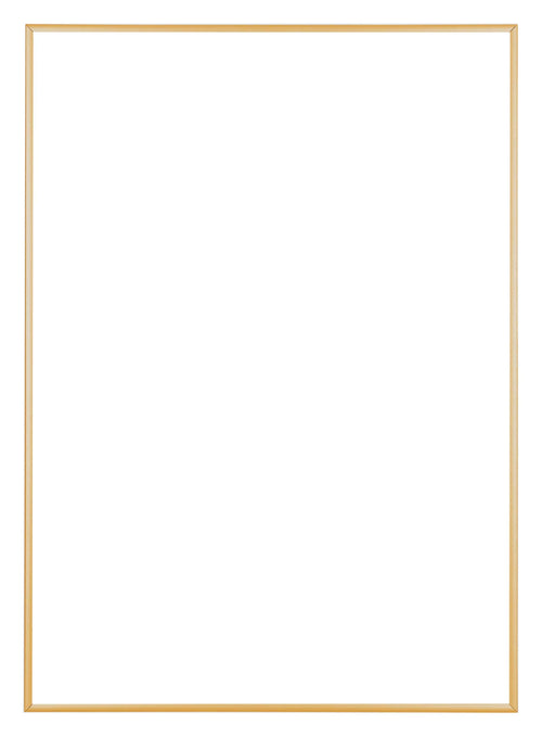 Austin Aluminium Fotolijst 29 7x42cm A3 Goud Vintage Voorzijde | Yourdecoration.nl