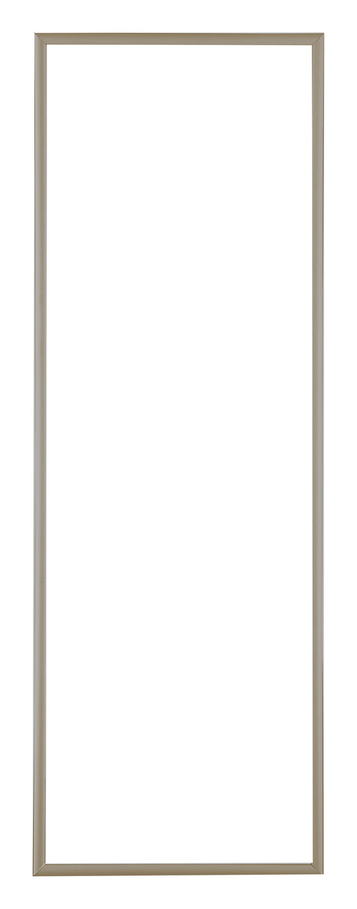 Austin Aluminium Fotolijst 33x98cm Champagne Voorzijde| Yourdecoration.nl