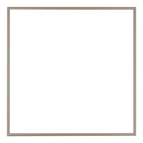 Austin Aluminium Fotolijst 50x50cm Champagne Voorzijde | Yourdecoration.nl
