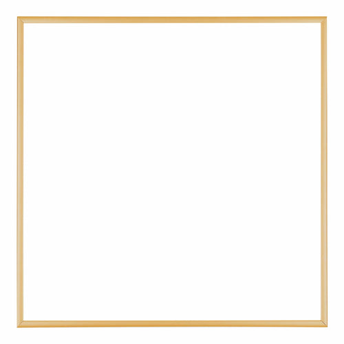 Austin Aluminium Fotolijst 60x60cm Goud Vintage Voorzijde | Yourdecoration.nl
