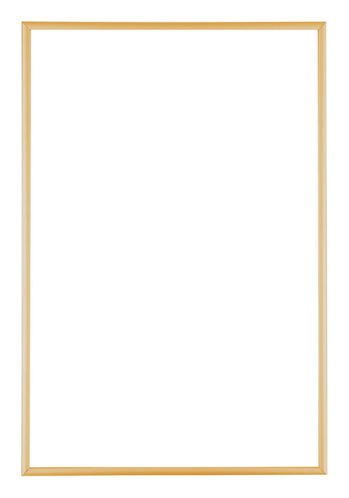 Austin Aluminium Fotolijst 60x90cm Goud Vintage Voorzijde | Yourdecoration.nl