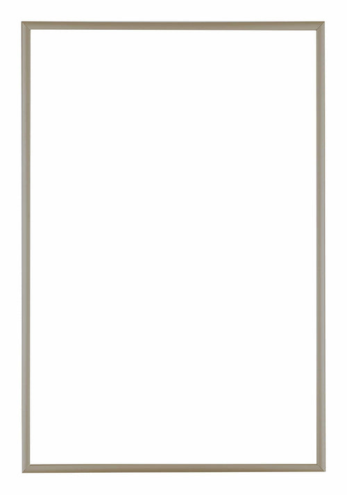 Austin Aluminium Fotolijst 61x91 5cm Champagne Voorzijde | Yourdecoration.nl