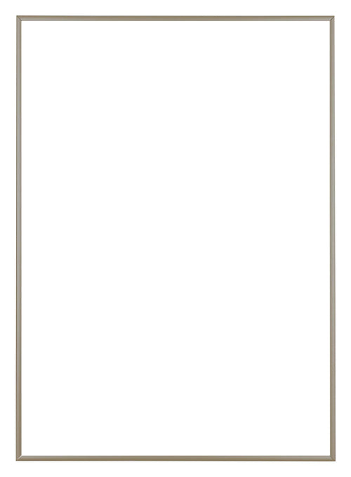 Austin Aluminium Fotolijst 70x100cm Champagne Voorzijde | Yourdecoration.nl