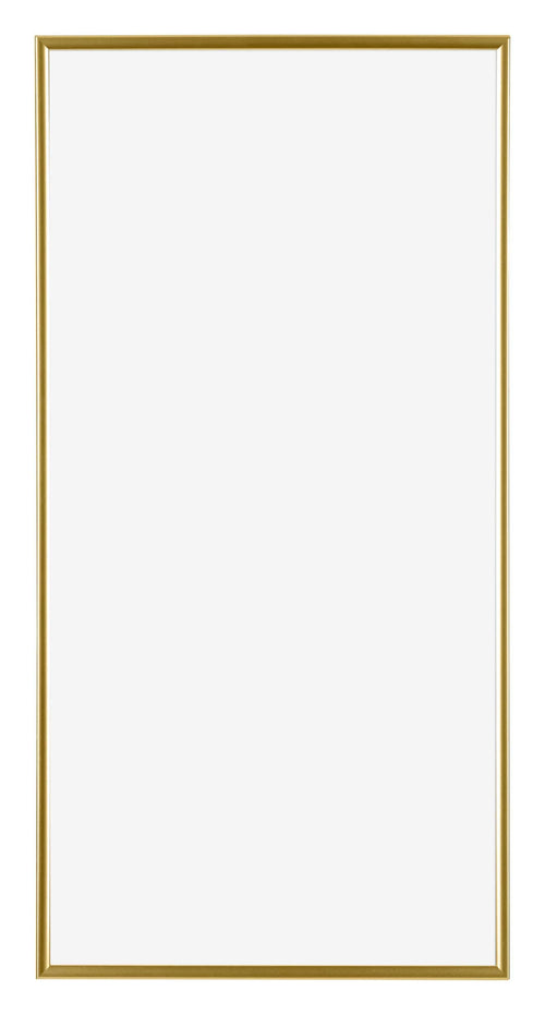 Evry Kunststof Fotolijst 20x40cm Goud Voorzijde | Yourdecoration.nl