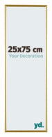 Evry Kunststof Fotolijst 25x75cm Goud Voorzijde Maat | Yourdecoration.nl