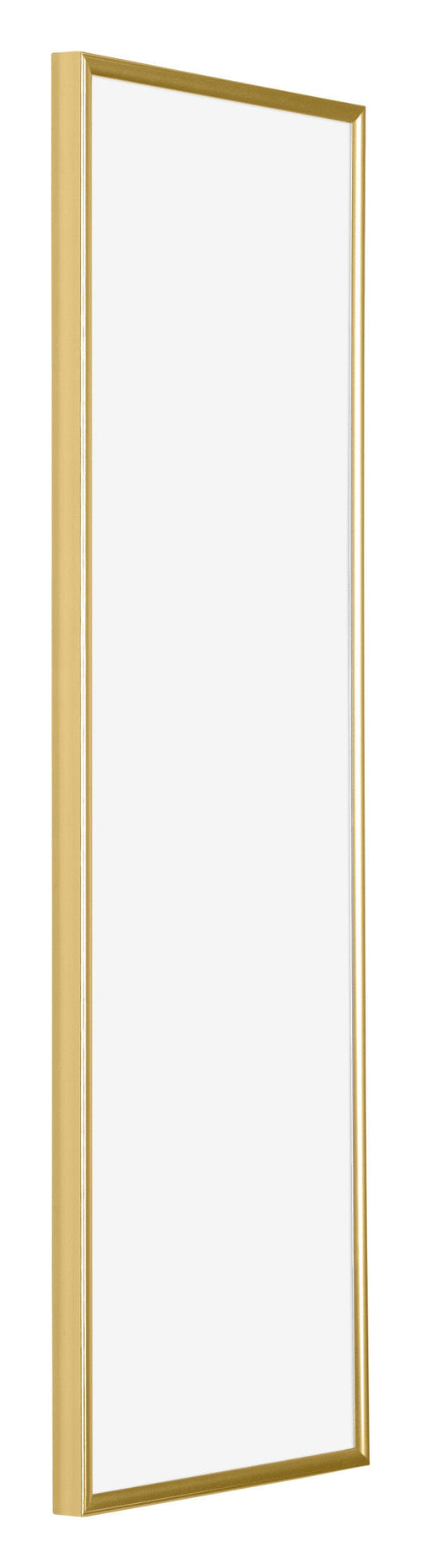 Evry Kunststof Fotolijst 33x98cm Goud Voorzijde Schuin | Yourdecoration.nl