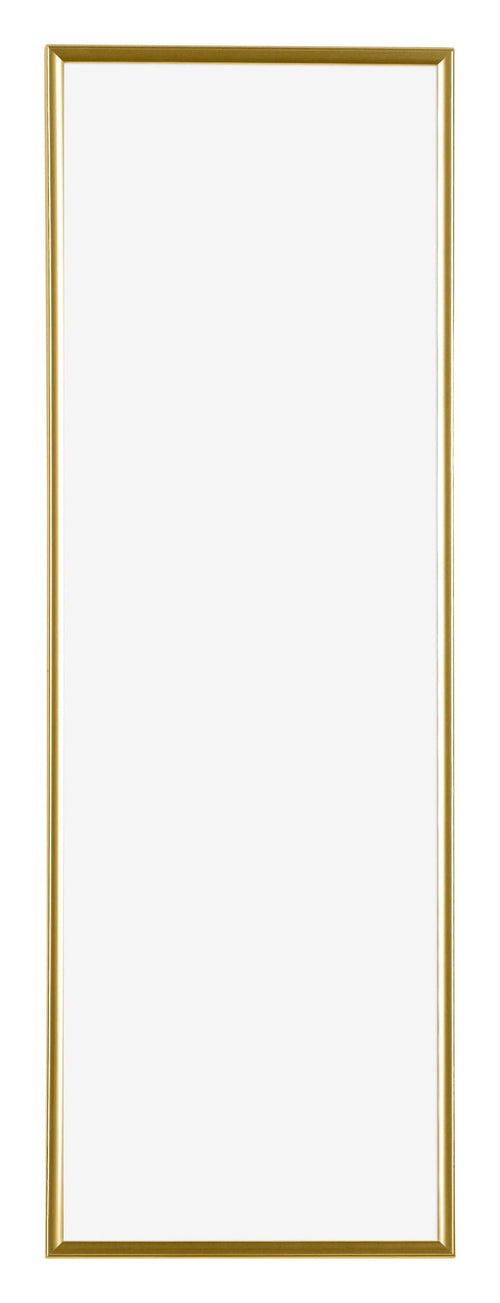 Evry Kunststof Fotolijst 33x98cm Goud Voorzijde | Yourdecoration.nl