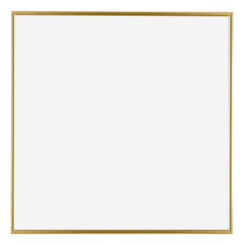 Evry Kunststof Fotolijst 50x50cm Goud Voorzijde | Yourdecoration.nl