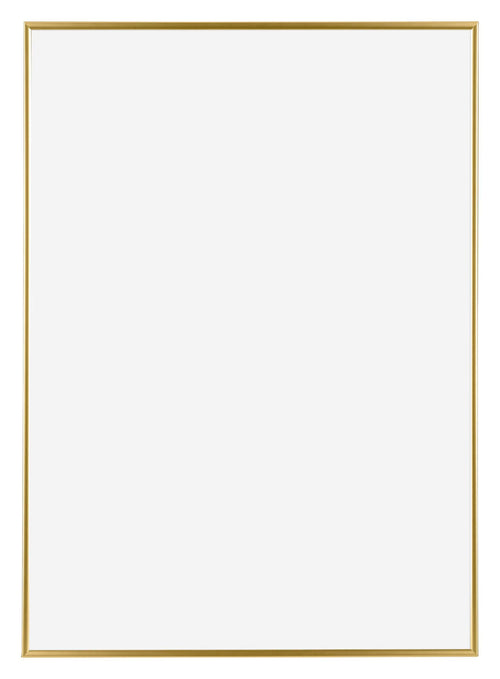 Evry Kunststof Fotolijst 60x84cm Goud Voorzijde | Yourdecoration.nl
