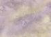 Fotobehang Lavender clouds 350x250cm FLX7 009 | Yourdecoration.nl