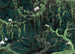 Fotobehang Orch Idee 350x250cm FLX7 019 | Yourdecoration.nl