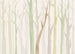 Fotobehang Shadow Woods 350x250cm FLX7 008 | Yourdecoration.nl