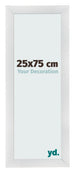 Fotolijst 25x75cm Zilver Mat MDF Pisa Voorzijde Maat | Yourdecoration.nl