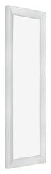 Fotolijst 37 5x98cm Zilver Mat MDF Pisa Voorzijde Schuin | Yourdecoration.nl