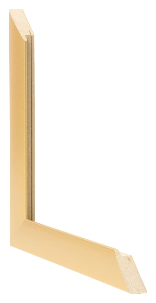 Fotolijst 45x80cm Goud Mat MDF Pisa Detail Doorsnede | Yourdecoration.nl
