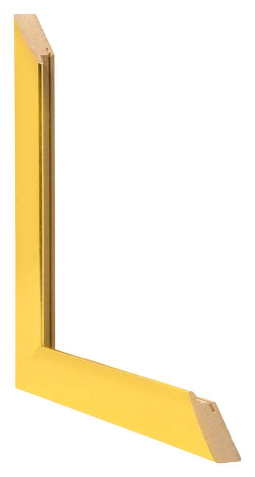 Fotolijst 45x80cm Goud Vintage MDF Pisa Detail Doorsnede | Yourdecoration.nl