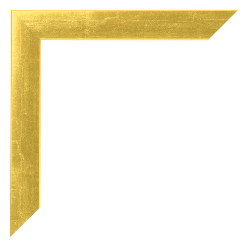 Fotolijst 45x80cm Goud Vintage MDF Pisa Detail Hoek | Yourdecoration.nl