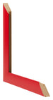Fotolijst 45x80cm Rood MDF Pisa Detail Doorsnede | Yourdecoration.nl