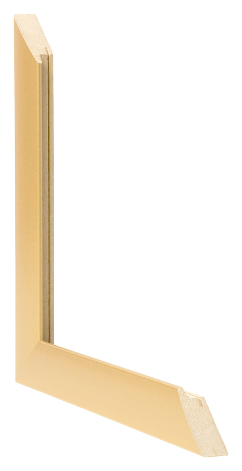Fotolijst 55x65cm Goud Mat MDF Pisa Detail Doorsnede | Yourdecoration.nl
