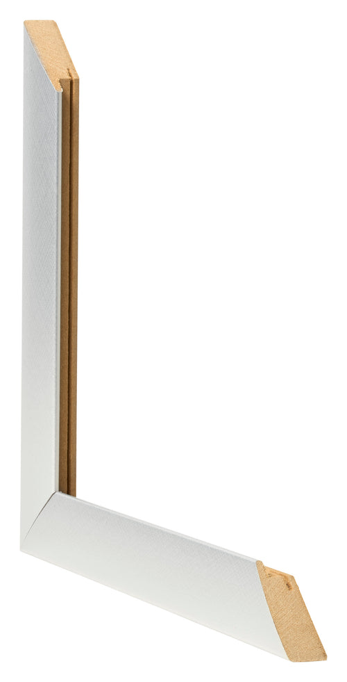 Fotolijst 68x98cm Aluminium Geborsteld MDF Pisa Detail Doorsnede | Yourdecoration.nl