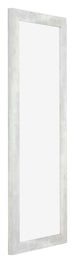 Mura MDF Fotolijst 33x98cm Zilver Glanzend Vintage Voorzijde Schuin | Yourdecoration.nl