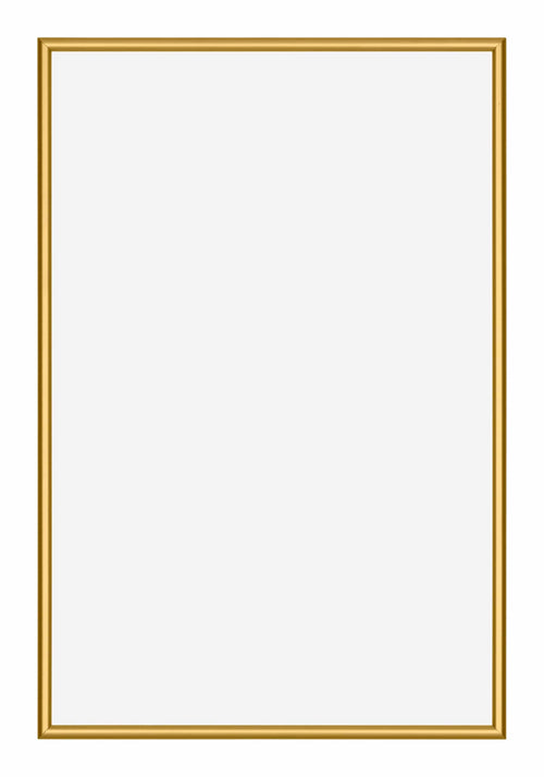 New York Aluminium Fotolijst 30x45cm Goud Glanzend Voorzijde | Yourdecoration.nl