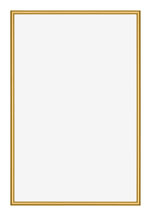 New York Aluminium Fotolijst 32x45cm Goud Glanzend Voorzijde | Yourdecoration.nl