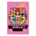 Poster Powerpuff Girls 61x91 5cm GPE5965 | Yourdecoration.nl