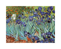 Vincent Van Gogh  Iris Kunstdruk 30x24cm | Yourdecoration.nl