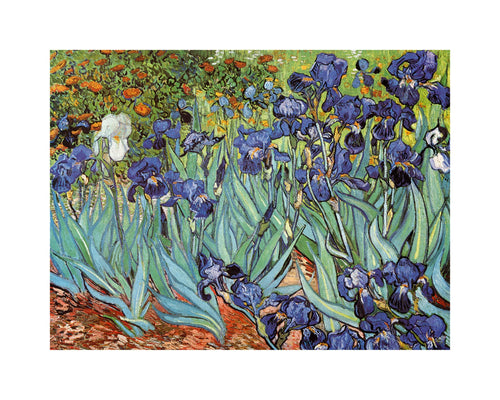 Vincent Van Gogh Iris Kunstdruk 30x24cm | Yourdecoration.nl