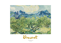 Vincent Van Gogh  Landscapes with olive trees Kunstdruk 70x50cm | Yourdecoration.nl