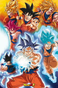 Dragon Ball Super Gokus Transformations Poster 61X91 5cm | Yourdecoration.nl
