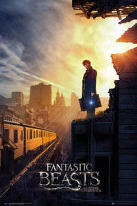 GBeye Fantastic Beasts One Sheet 2 Poster 61x91,5cm | Yourdecoration.nl