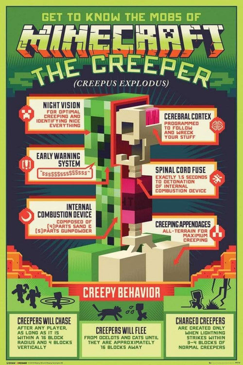 GBeye Minecraft Creepy Behavior Poster 61x91,5cm | Yourdecoration.nl