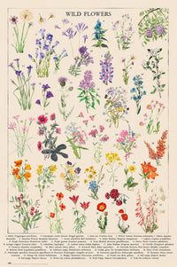 Grupo Erik Gpe5675 Botanical Wild Flowers Poster 61x91 5cm | Yourdecoration.nl
