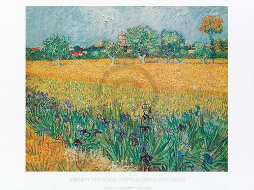 Vincent Van Gogh Vista di Arles Con Irises Kunstdruk 80x60cm | Yourdecoration.nl