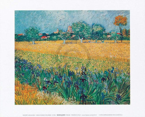 Vincent Van Gogh Vista di Arles Con Irises Kunstdruk 30x24cm | Yourdecoration.nl