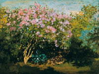 Claude Monet  BlÃ¼hender Flieder in der Sonne Kunstdruk 80x60cm | Yourdecoration.nl