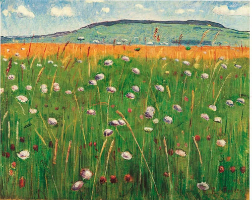 Ferdinand Hodler Wiesenstück 1900/1902 Kunstdruk 60x48cm | Yourdecoration.nl
