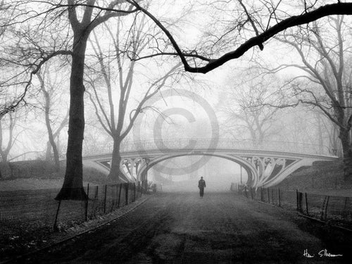 Henri Silberman Gothic Bridge, Central Park NYC Kunstdruk 80x60cm | Yourdecoration.nl