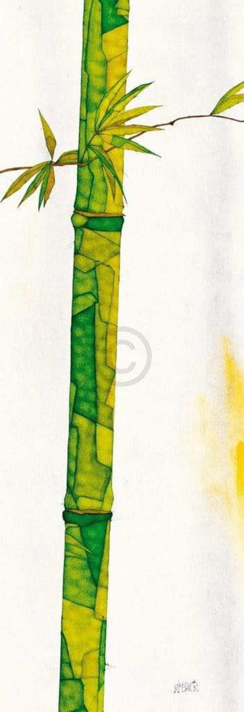 Michael Ferner  Bambus Duo II Kunstdruk 34x99cm | Yourdecoration.nl