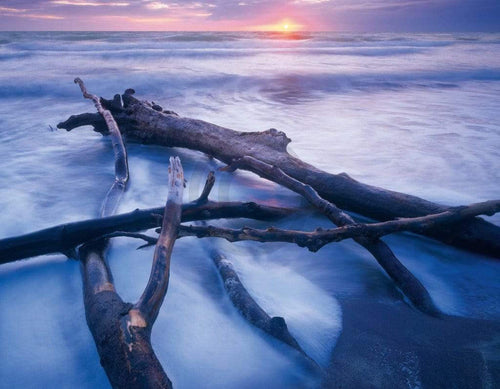 Popp Hackner NPVB Weststrand Kunstdruk 90x70cm | Yourdecoration.nl