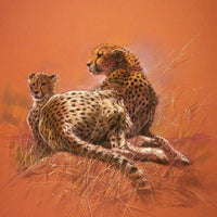 Renato Casaro  Cheetah Mother Kunstdruk 50x50cm | Yourdecoration.nl