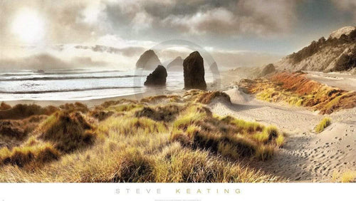 Steve Keating Pistol River Kunstdruk 99x56cm | Yourdecoration.nl